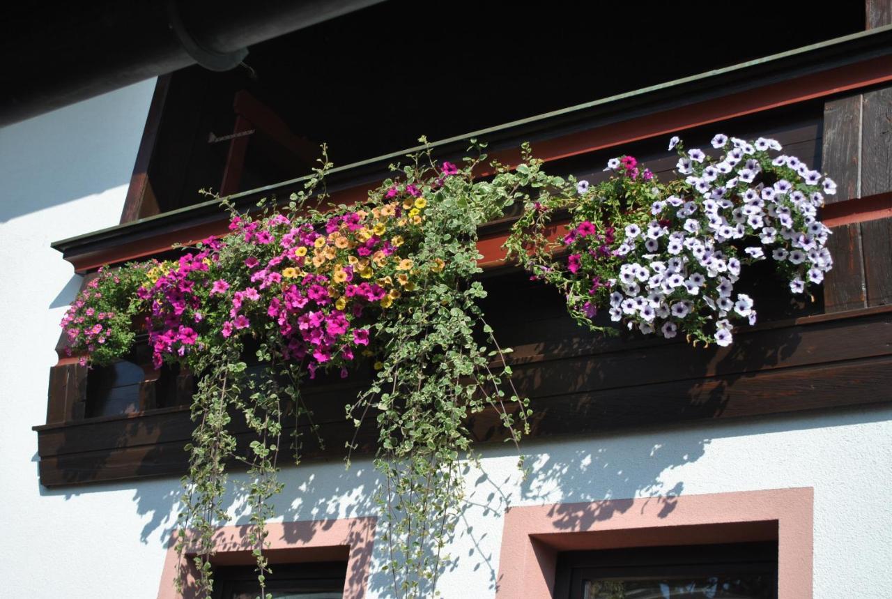 Gaestehaus Katharina Hochfilzen Ngoại thất bức ảnh